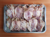 Mực đồng tiền